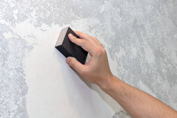 Best Water Damage & Mold Remediation  in Carver, MN