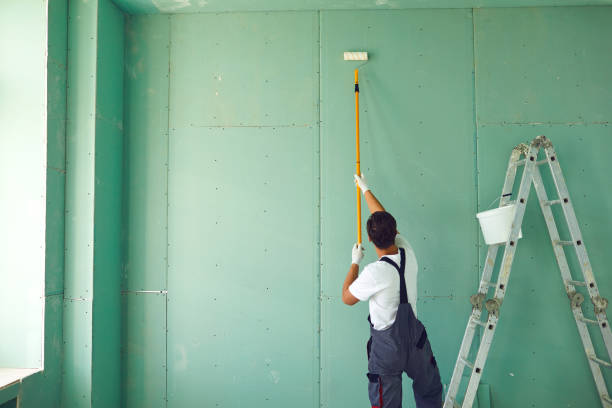 Best Attic Mold Removal  in Carver, MN