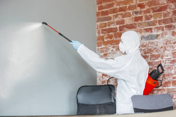 Best Airborne Mold Testing  in Carver, MN