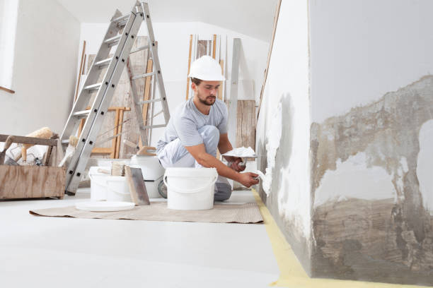 Best Mold Remediation for Healthcare Facilities  in Carver, MN