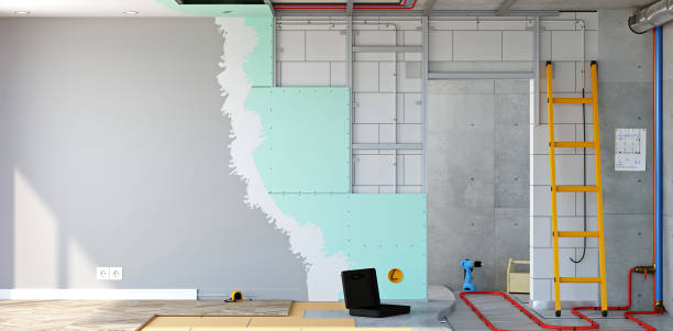 Best Residential Mold Inspection & Testing  in Carver, MN
